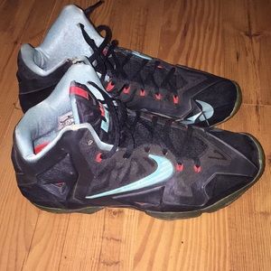 Lebron 11s